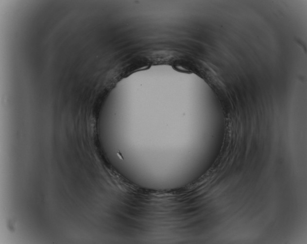 X0000092310283200709141037