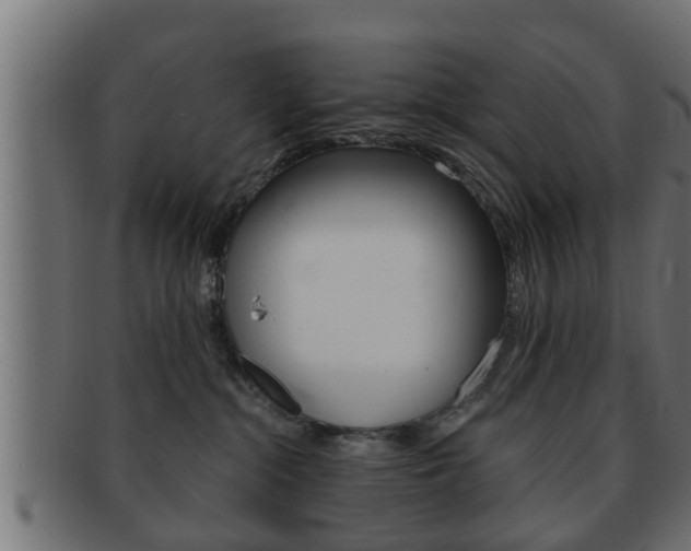 X0000092310284200709141037