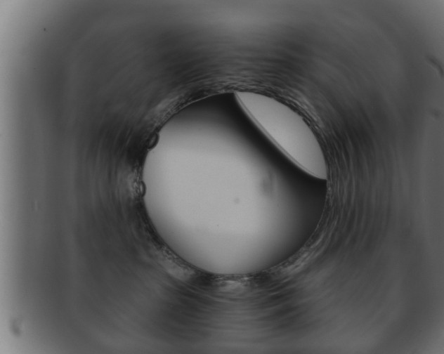 X0000092310285200709141037