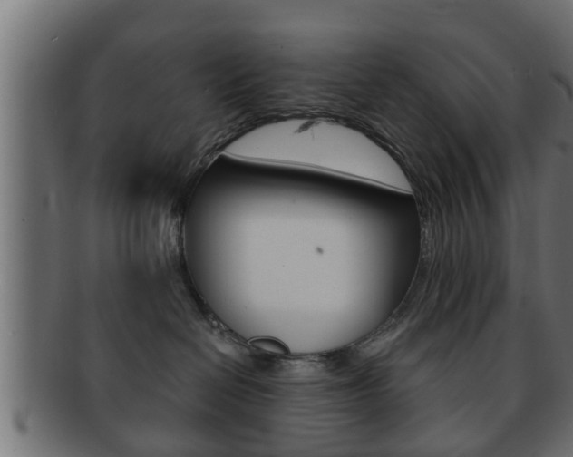 X0000092310286200709141037