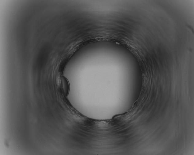 X0000092310287200709141037