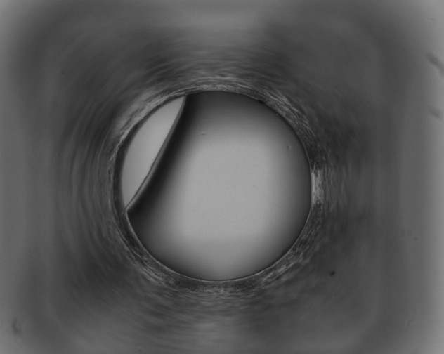 X0000092310291200709141036