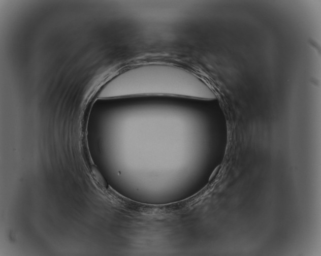 X0000092310293200709141036