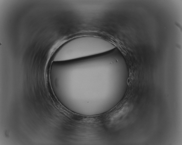 X0000092310294200709141036