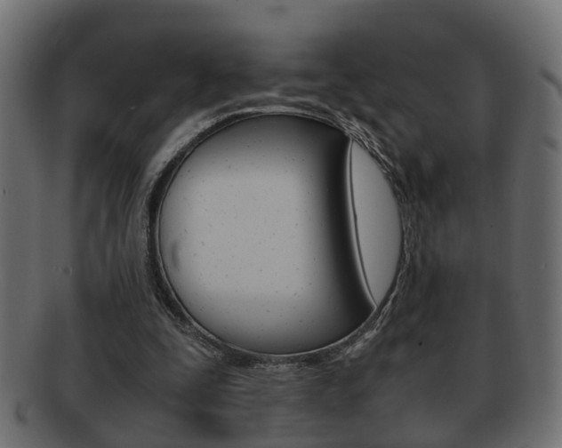 X0000092310295200709141036