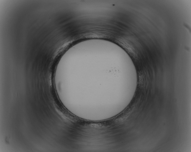 X0000092310302200709141036