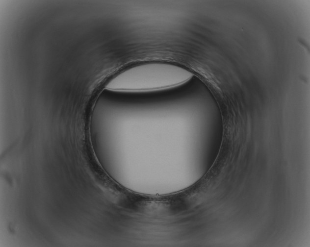 X0000092310303200709141036