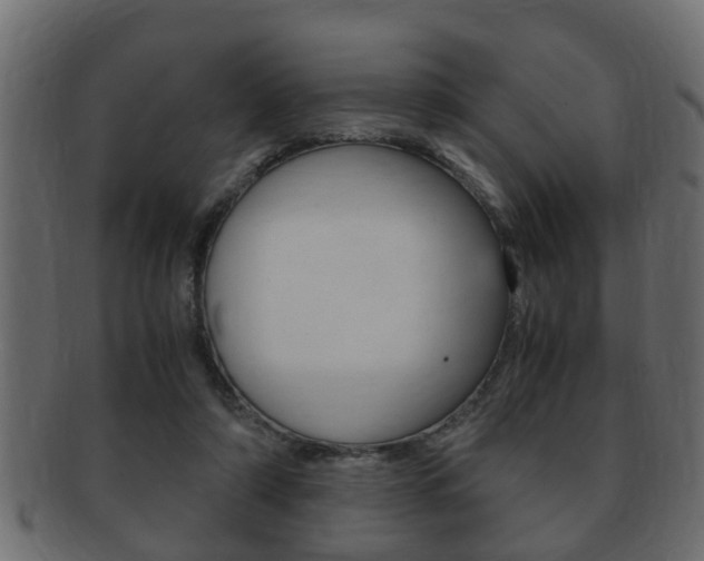 X0000092310306200709141036