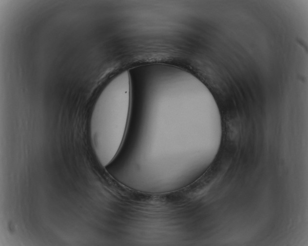 X0000092310308200709141036