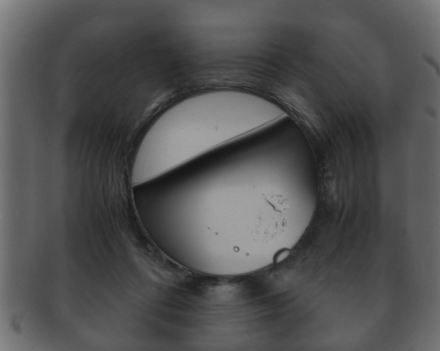 X0000092310312200709141036