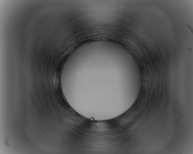 X0000092310324200709141036