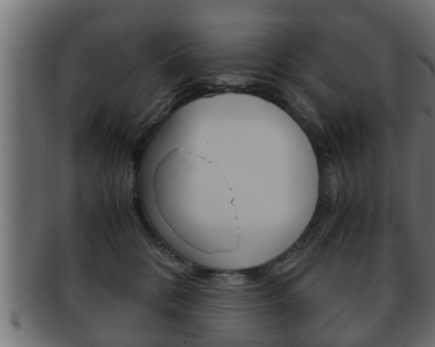 X0000092310328200709141036