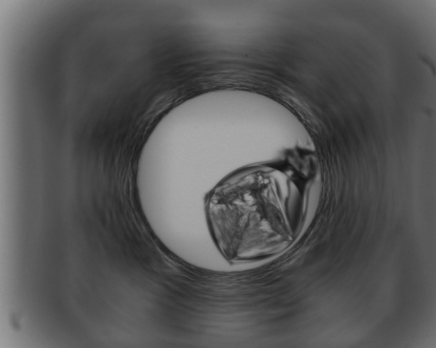 X0000092310333200709141036