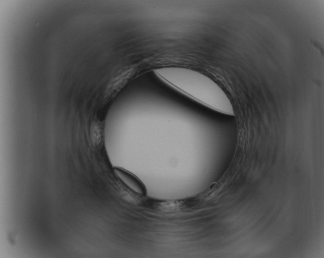 X0000092310335200709141036