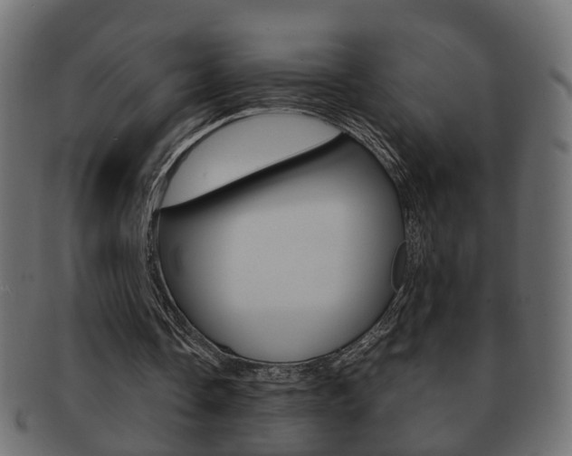 X0000092310338200709141035