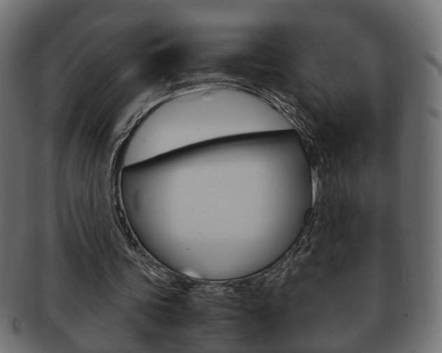 X0000092310339200709141035