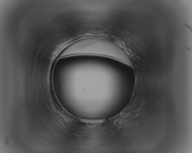 X0000092310340200709141035
