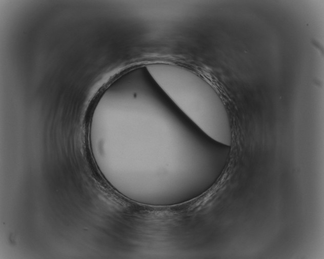 X0000092310342200709141035