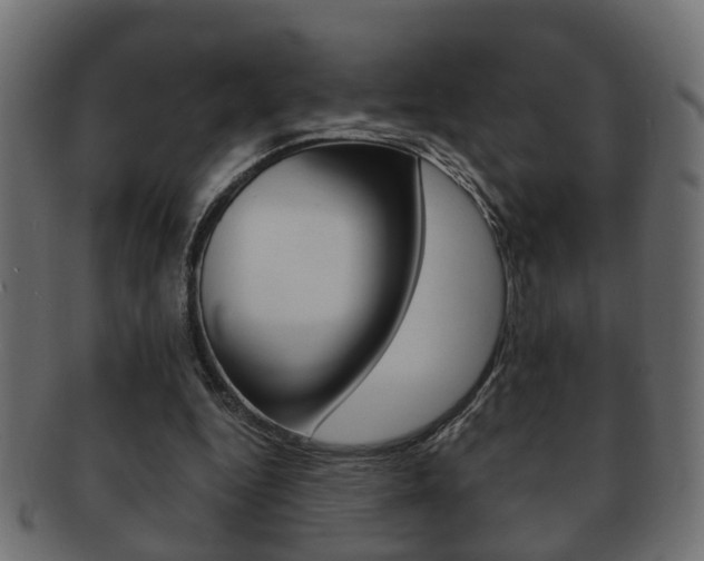 X0000092310344200709141035