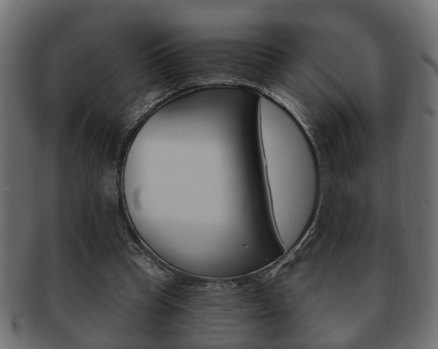 X0000092310345200709141035
