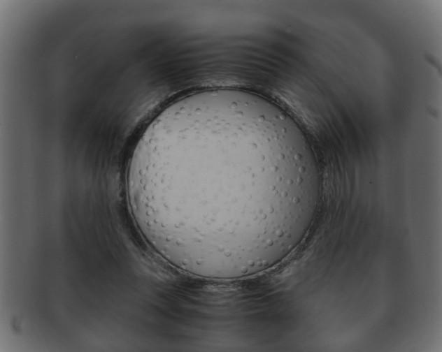 X0000092310351200709141035