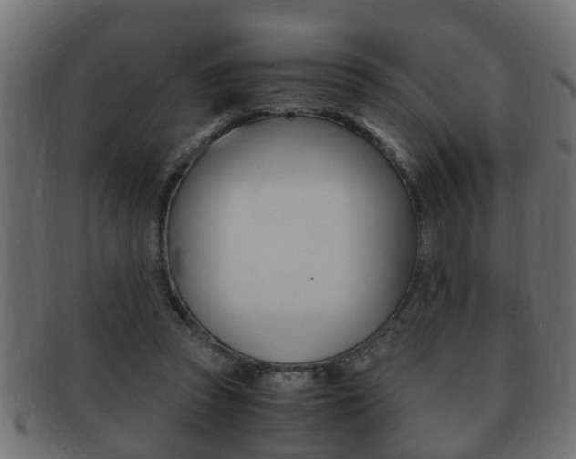 X0000092310353200709141035