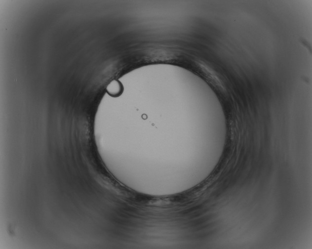 X0000092310362200709141035