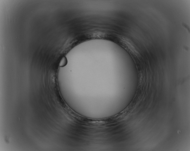 X0000092310363200709141035