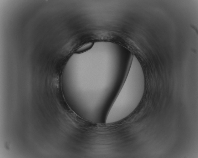 X0000092310368200709141036