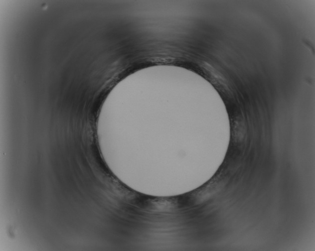 X0000092310370200709141036