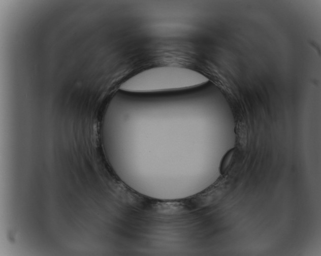 X0000092310378200709141036