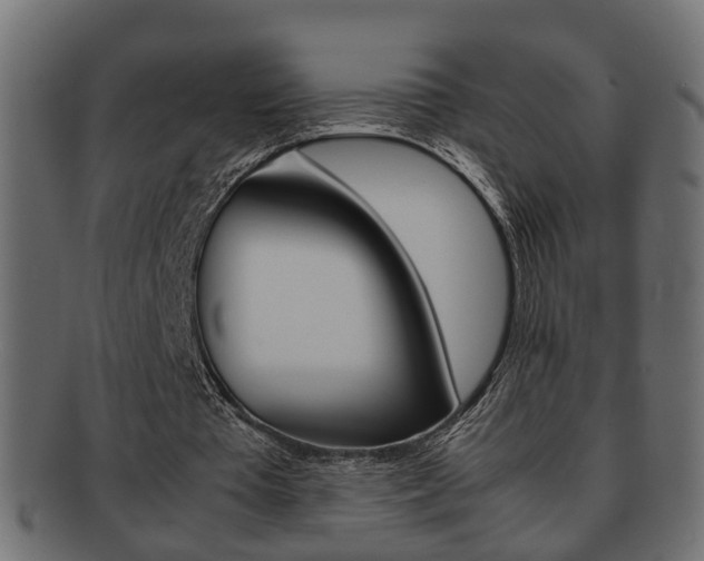 X0000092310385200709141035