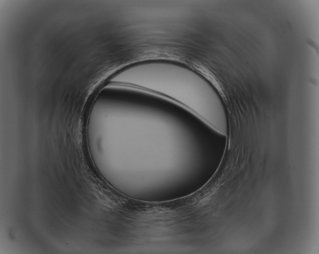 X0000092310387200709141035