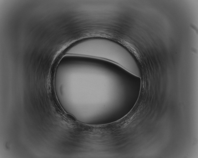X0000092310388200709141035