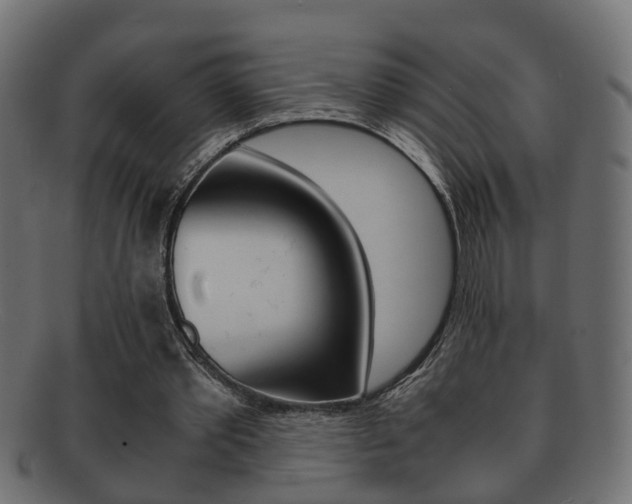 X0000092310389200709141035