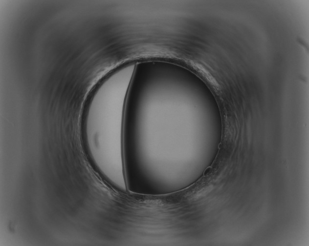 X0000092310391200709141035