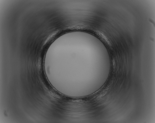 X0000092310396200709141035