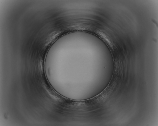 X0000092310398200709141035