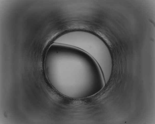 X0000092310399200709141035