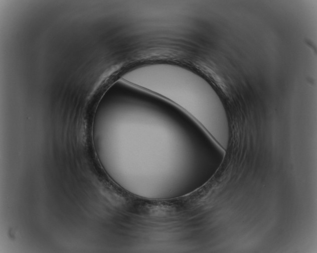 X0000092310400200709141035