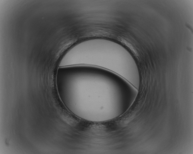 X0000092310403200709141035