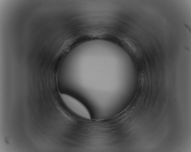 X0000092310408200709141035