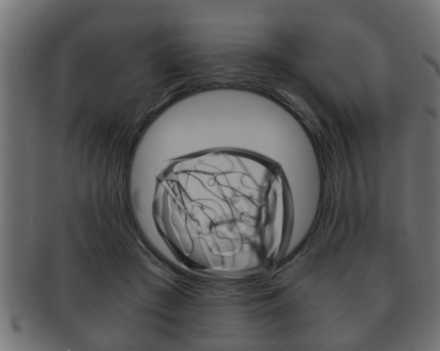 X0000092310409200709141035