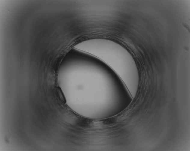 X0000092310413200709141035
