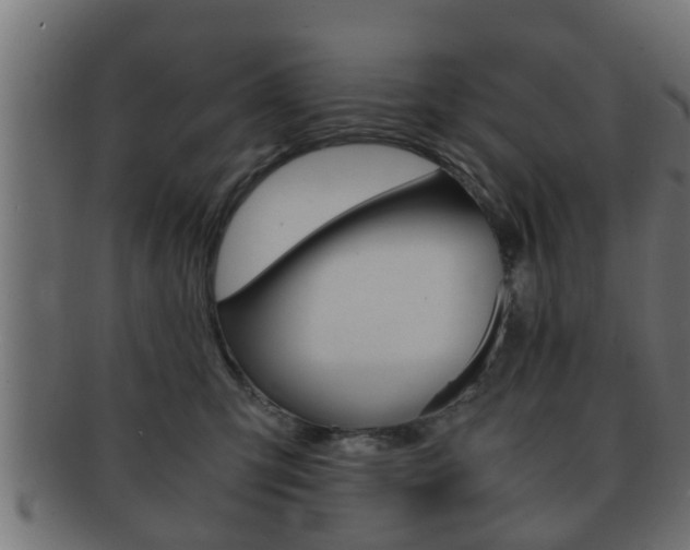 X0000092310423200709141035