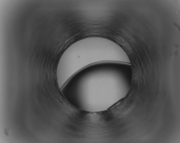 X0000092310425200709141035