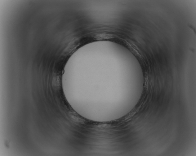X0000092310426200709141035