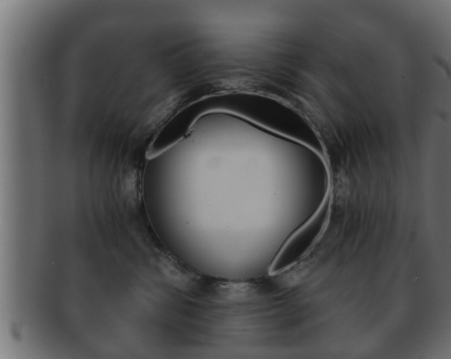 X0000092310428200709141034