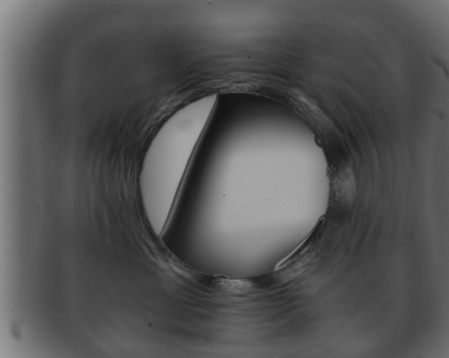 X0000092310429200709141034