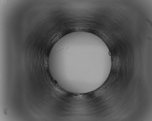 X0000092310430200709141034